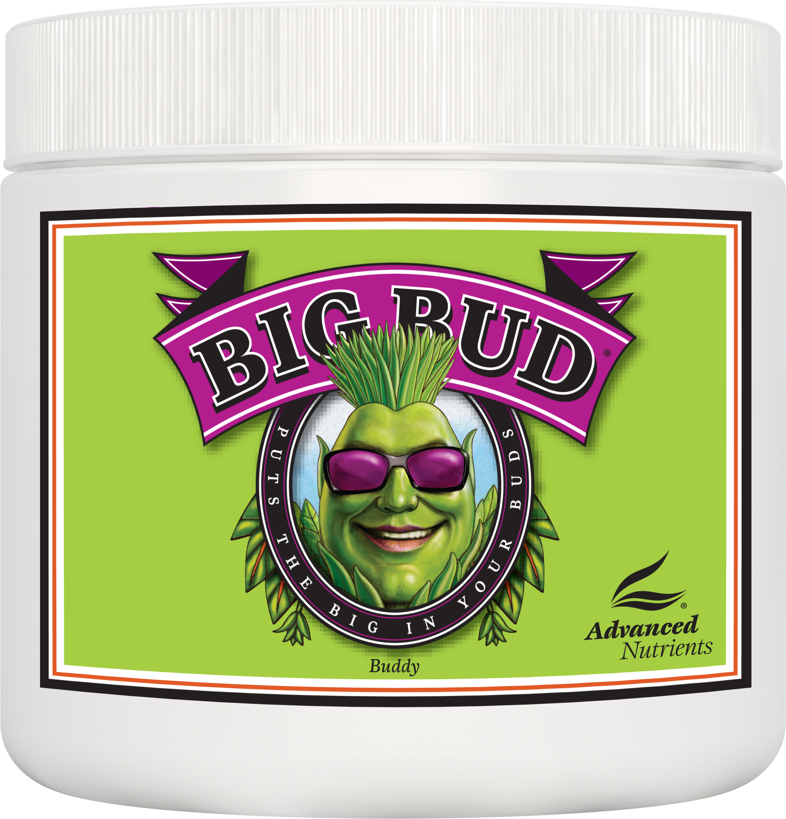 AN Big Bud Powder 500 g