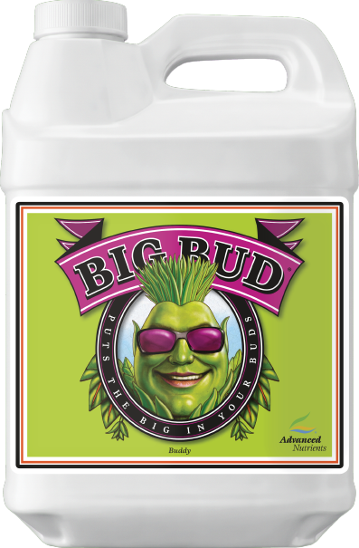 AN Big Bud 250 ml