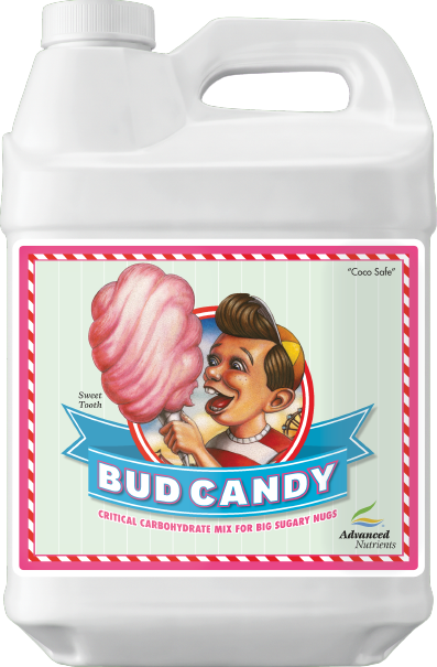 AN Bud Candy 500 ml