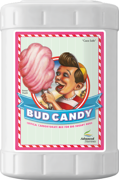 AN Bud Candy 23 l