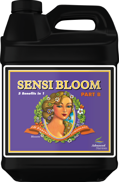 AN pH Perfect Sensi Bloom B 10 l