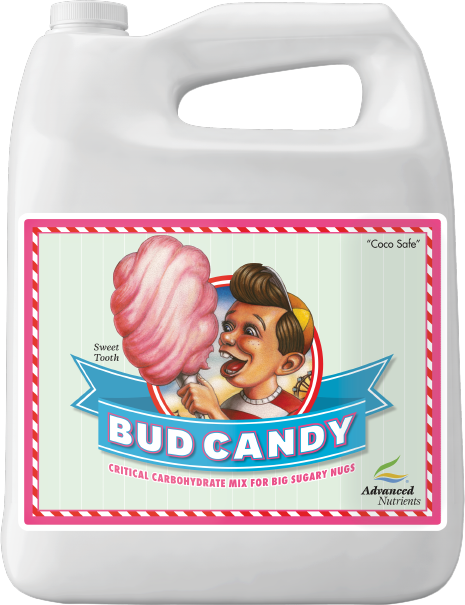 AN Bud Candy 4 l