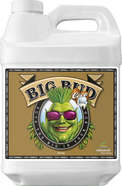 AN Big Bud Coco 250 ml