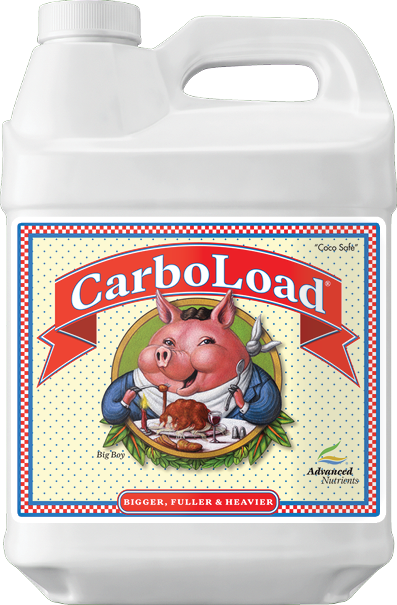 AN CarboLoad 250 ml
